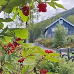 Feriehus Nordfjordcabins Blue Utvik