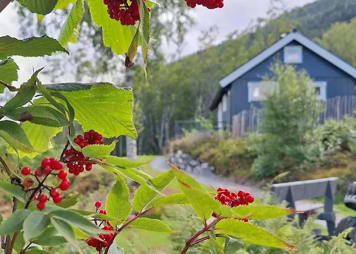 Feriehus Nordfjordcabins Blue Utvik